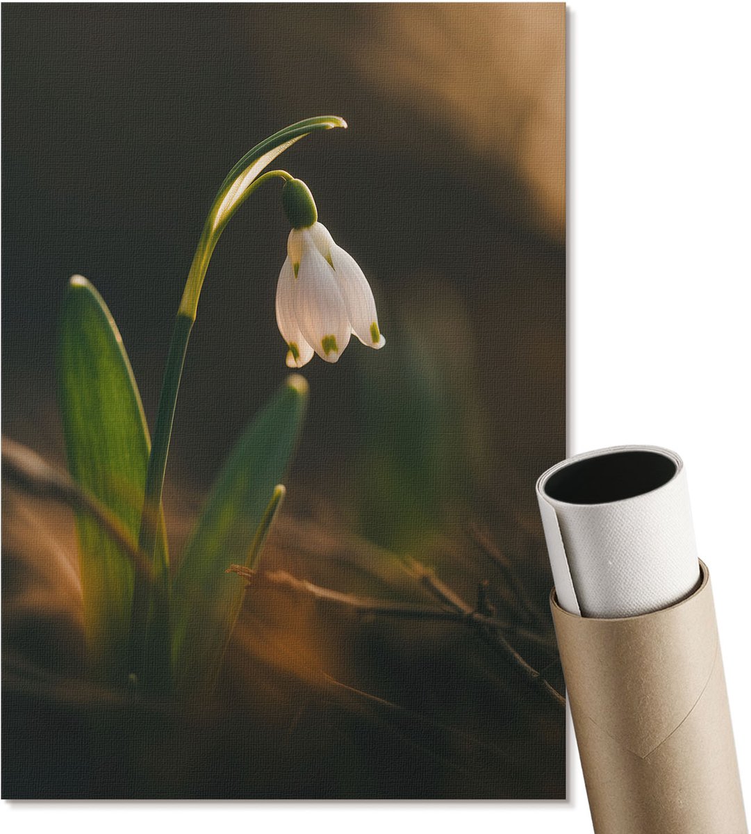 Coloray Polycanvas Wandposter - Lente Sneeuwklokje, Fotografie - A4 - Groen Motief - Rechthoek - Muurkunst - Woonkamer, Slaapkamer, Kantoor - Klassiek