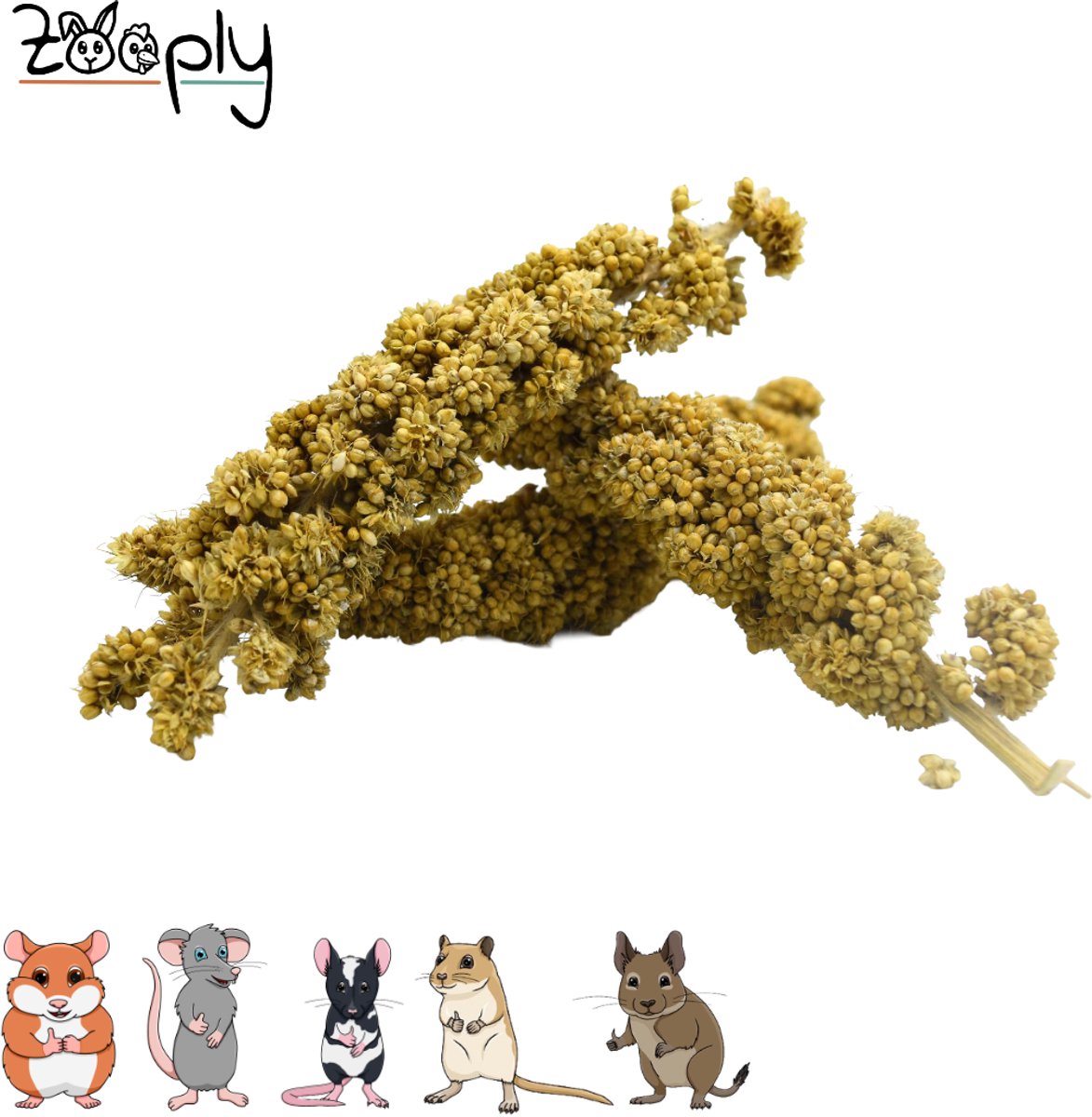 Zooply Trostgierst stukjes - 100 gram - in koker