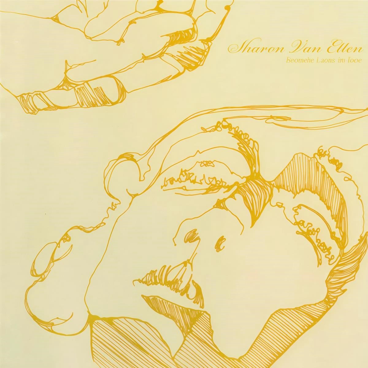 Sharon Van Etten - Because I Was In Love (LP)