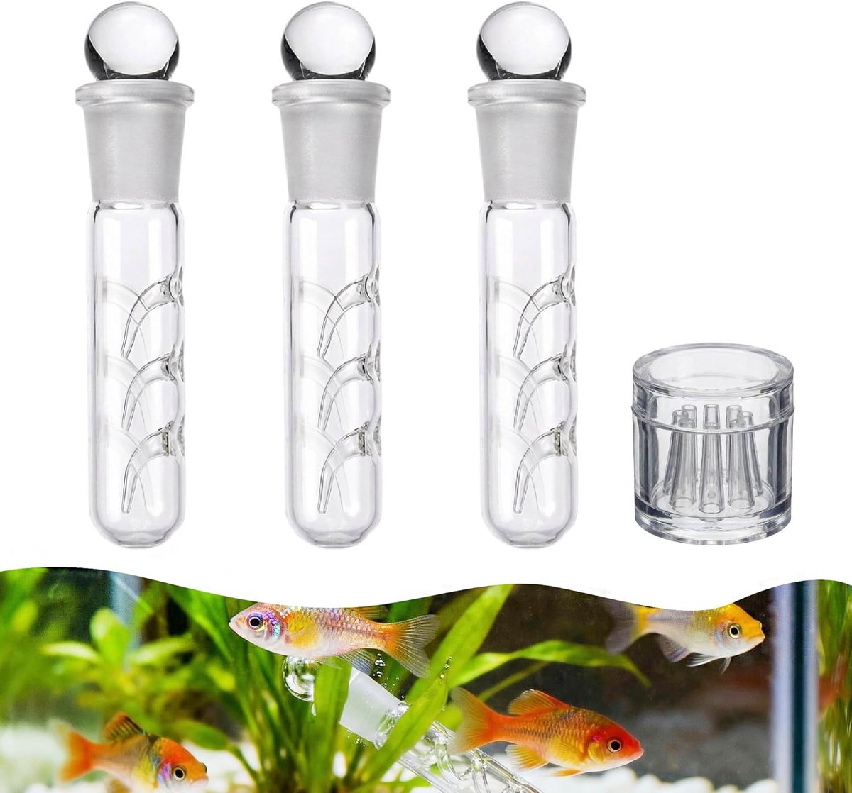 4 pieces planaria trap, clear glass planaria trap, 3 holes glass planaria stairs and 8 holes glass traps, suitable for - ShopVlot