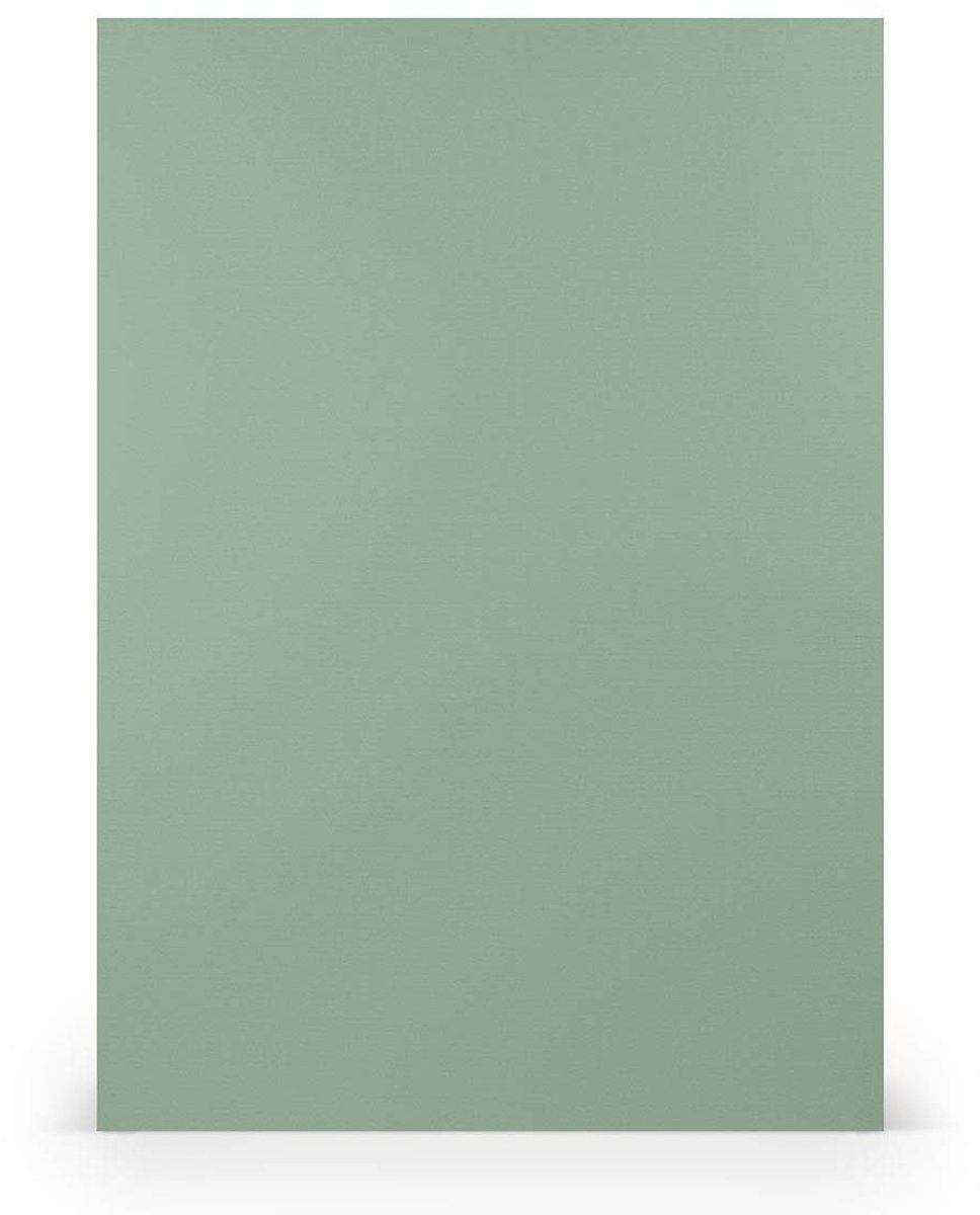 Elzusha - A4 Papier - 100 Vellen Eucalyptus Ribbel Groen 100 g/m²