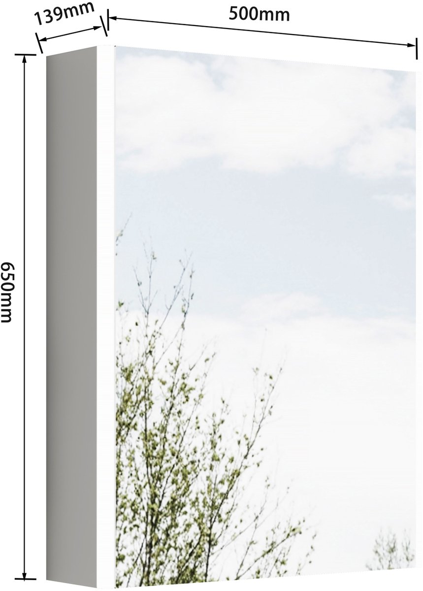Spiegelkast – 50 x 14 x 54 cm – MDF en Glas – Wit – Wandmontage met Ledverlichting en Frans Stopcontact