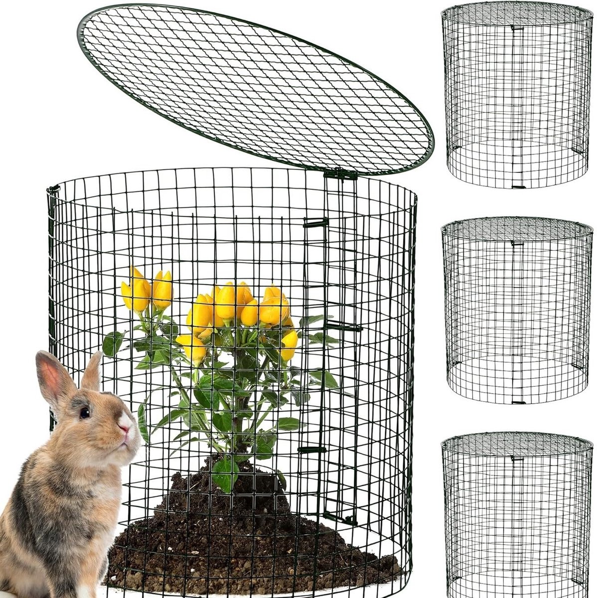 6 stuks plantenbeschermkooien 30 cm, metaal gaas bescherming voor tuinplanten, beschermkorf tegen konijnen en knaagdieren, plantenomheining voor buiten tuingebruik