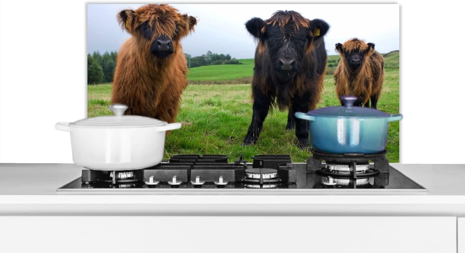 Spatscherm Keuken - 90x45 cm - Schotse hooglander - Koeien - Natuur - Groen - Gras