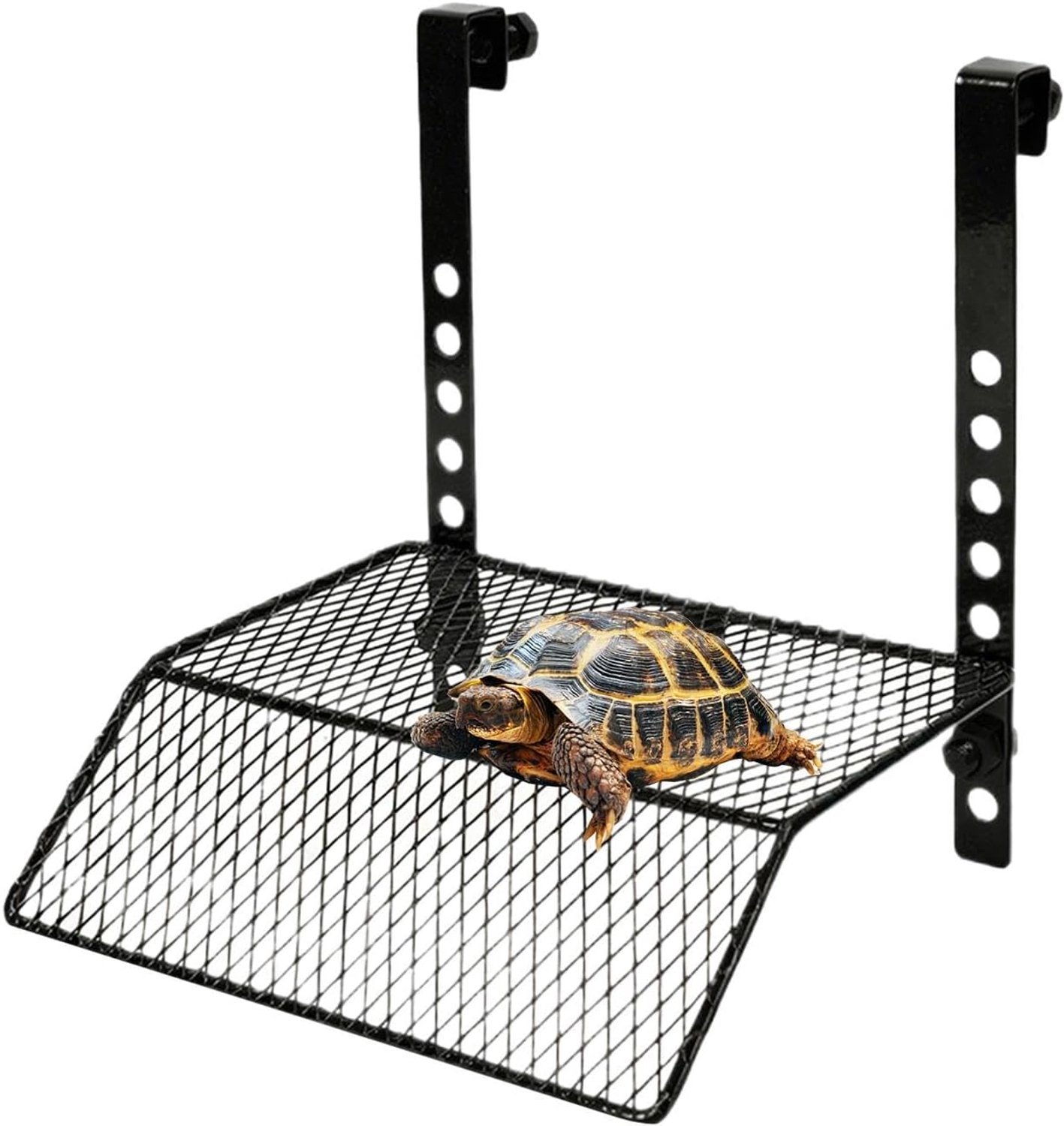 Dock voor schildpadden, robuuste zuignap, hol, met 2 haken