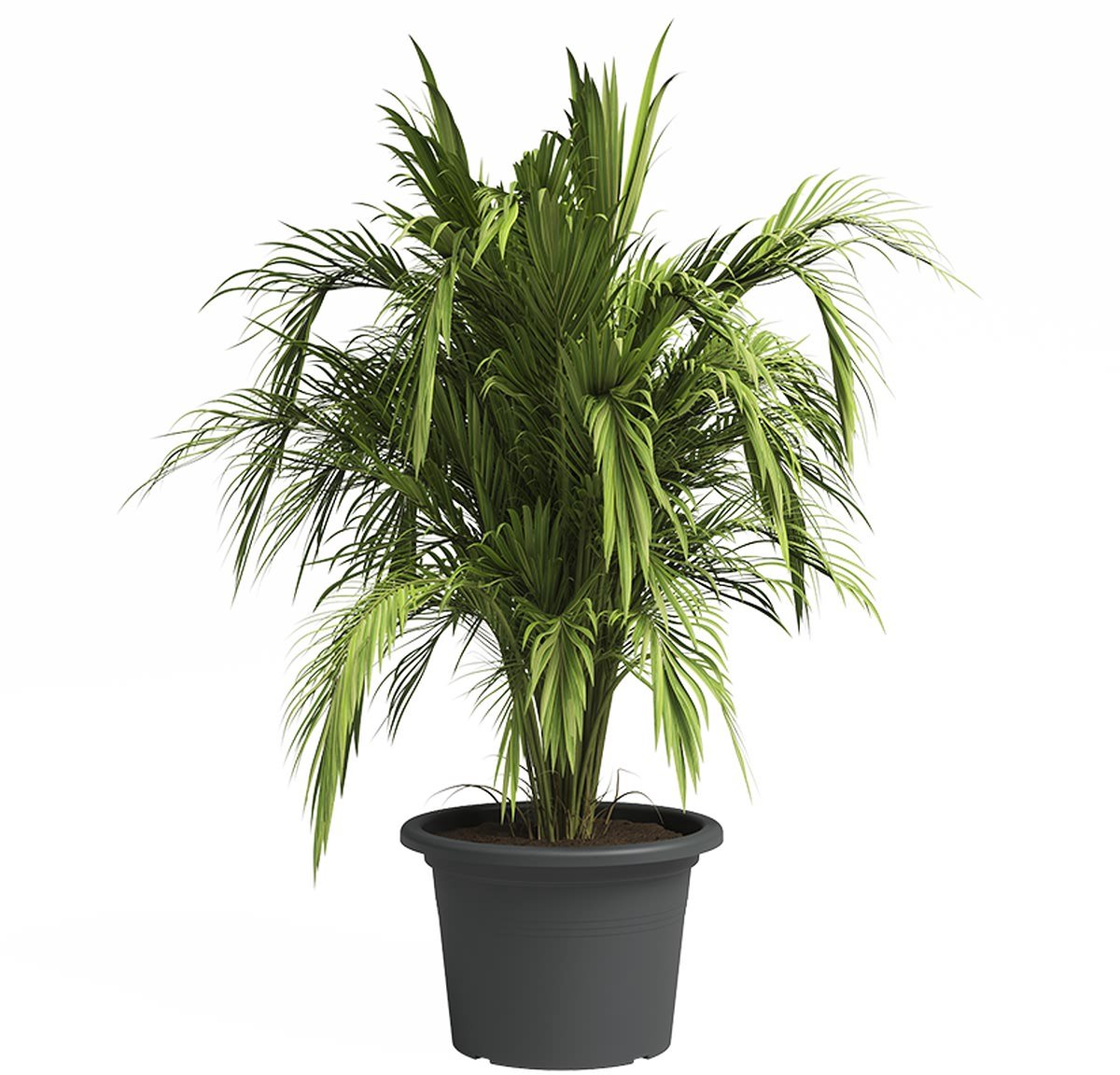 Bloempot Artevasi Venezia Cirkelvormig Grijs Donker grijs Ø 50 cm