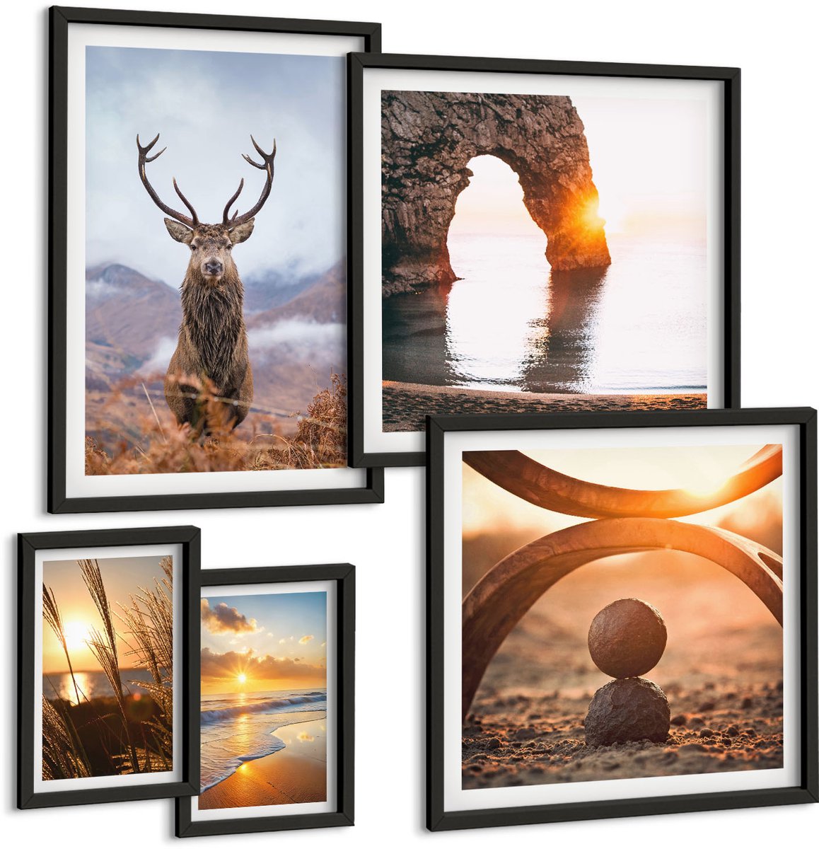 Coloray 5-Delige Schilderij Set - Natuur En Wilde Dieren In Een Harmonieuze Omgeving. - 50 x 50 cm, 20 x 30 cm En 40 x 60 cm - Wanddecoratie - Woonkamer Decoratie - Muurdecoratie Zwarte lijst
