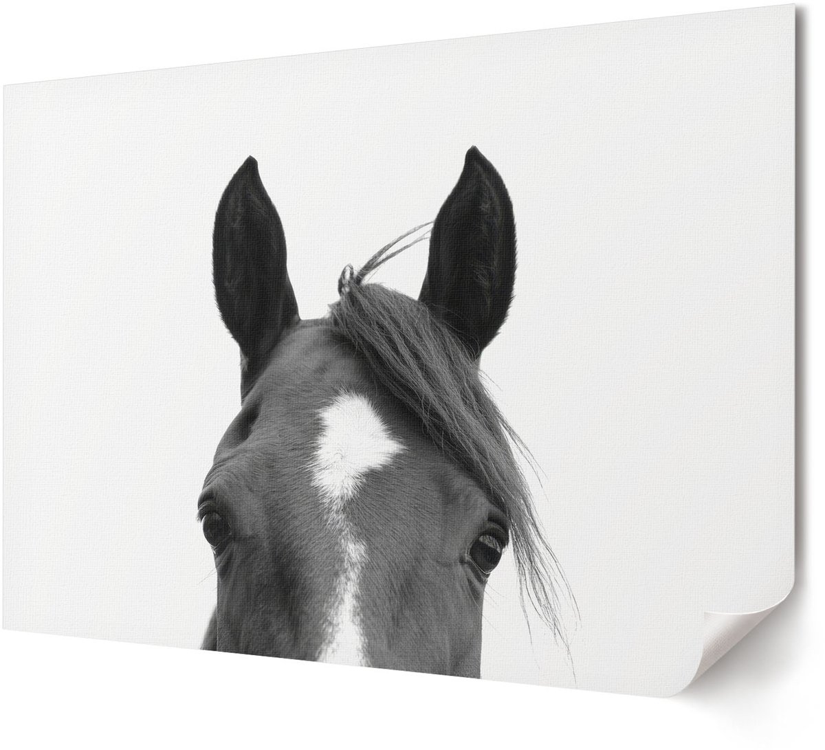 Coloray Canvas Poster Polycanvas - Vrouw Met Zand, Fotografie - A4 - Zwart-wit Poster - Rechthoek - Muurdecoratie - Woonkamer, Slaapkamer, Kantoor - Expressief