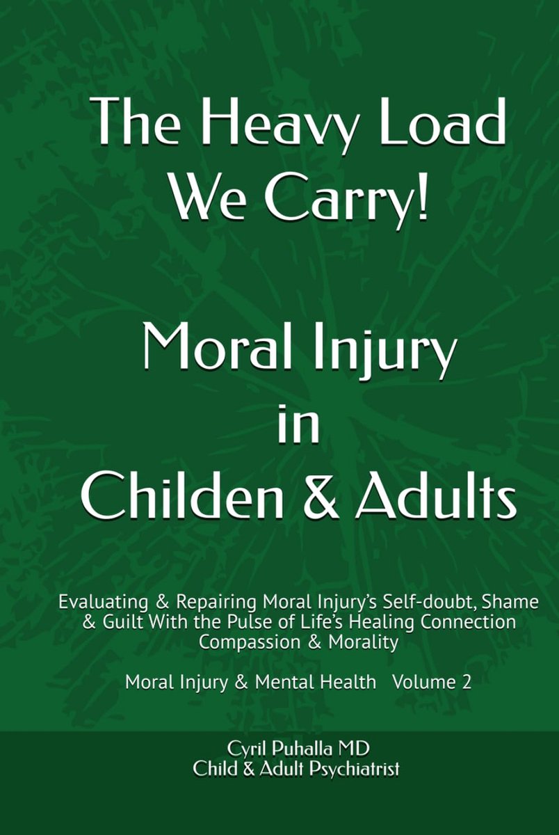 The Heavy Load We Carry! Moral Injury in Childen & Adults: Evaluating & Repairing Moral Injury’s Self-doubt, Shame & - ShopVlot