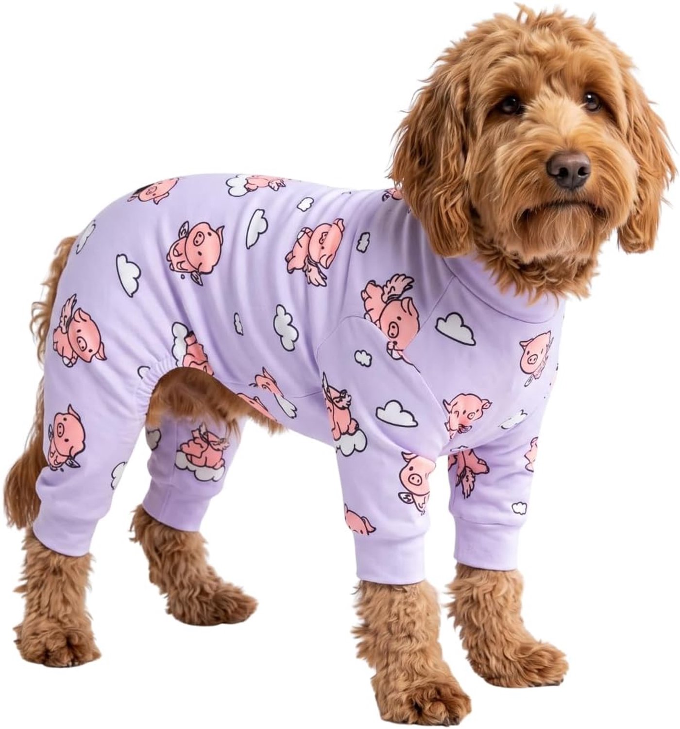 Hondenherstelpak voor mannen, onesie, ultrazacht en 4-wegs stretch, voor kleine, middelgrote en grote rassen - wanneer varkens vliegen - paars - L