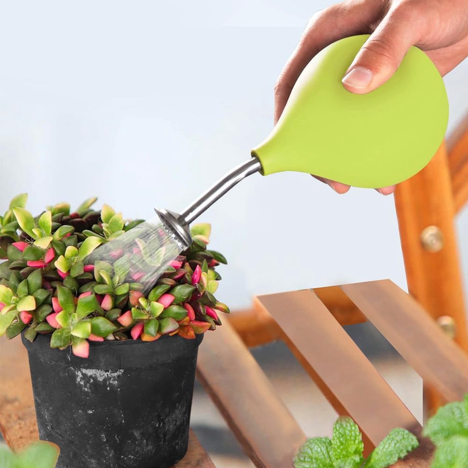 Balsproeier, roestvrij stalen schenktuit, alternatief voor kleine planten, stekken, bloemen, zaailingen (lichtgroen)
