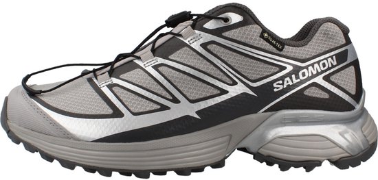 Zijaanzicht van Salomon XT Pathway GTX in zilver en grijs met GORE-TEX label en Salomon logo.
