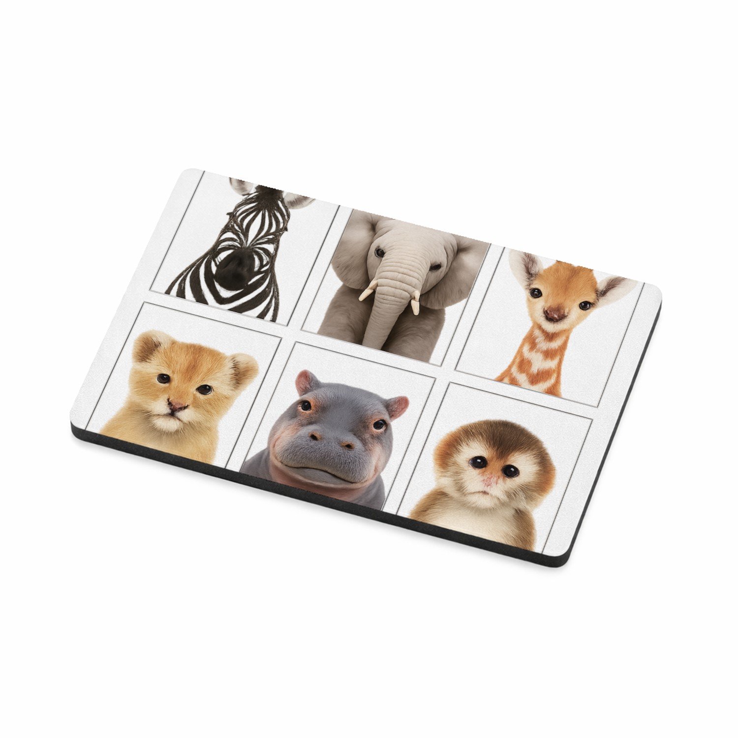 Mr Cadeautjes MDF magnetische fotolijst 7,5 x 5 - design Vier rustige dierenportretten in een strak museumgrid | cadeau Wit