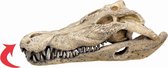 Nobby aqua deco krokodil schedel medium - 26 x 14 x 9 cm