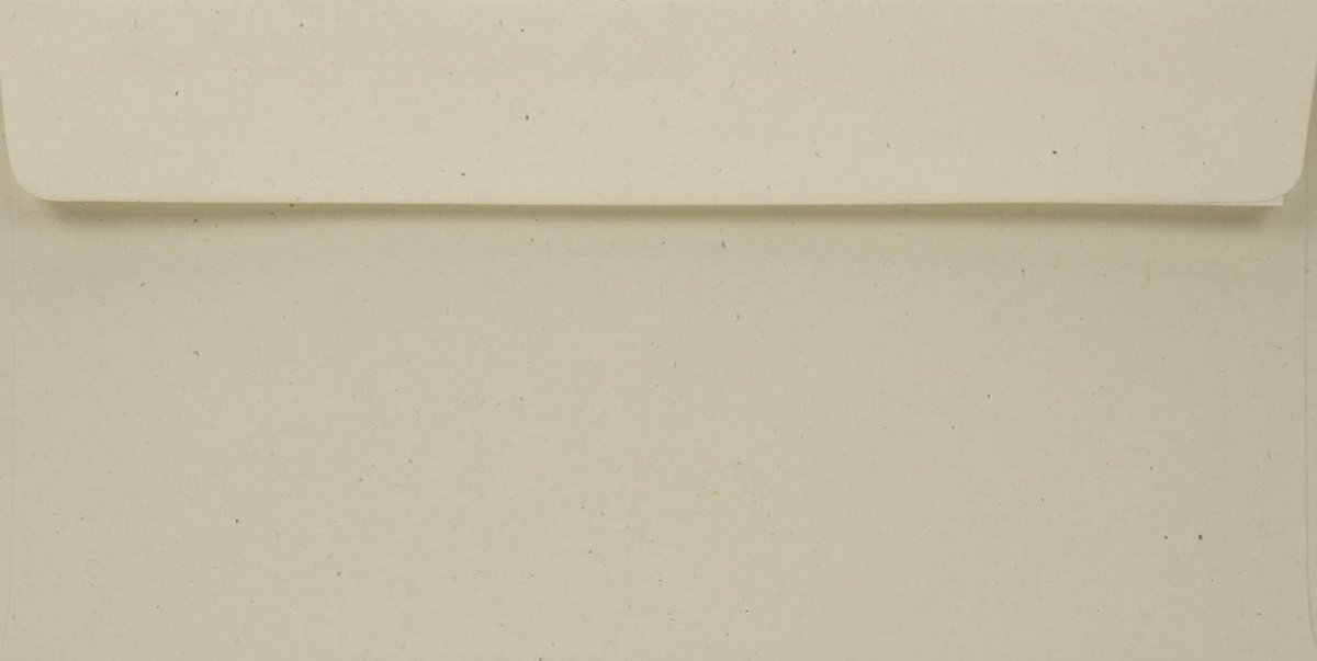 Enveloppen ecru lang 110x220mm 110g voor paaskaarten trouwkaarten en ansichtkaarten