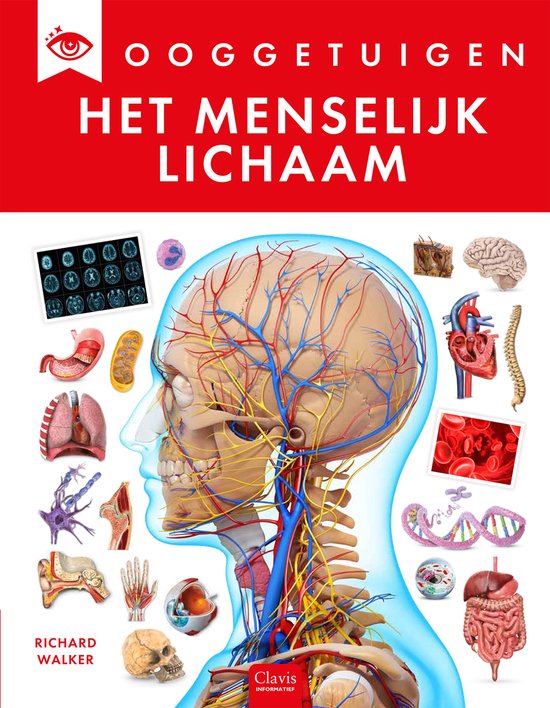 Ooggetuigen - Het menselijk lichaam - cover