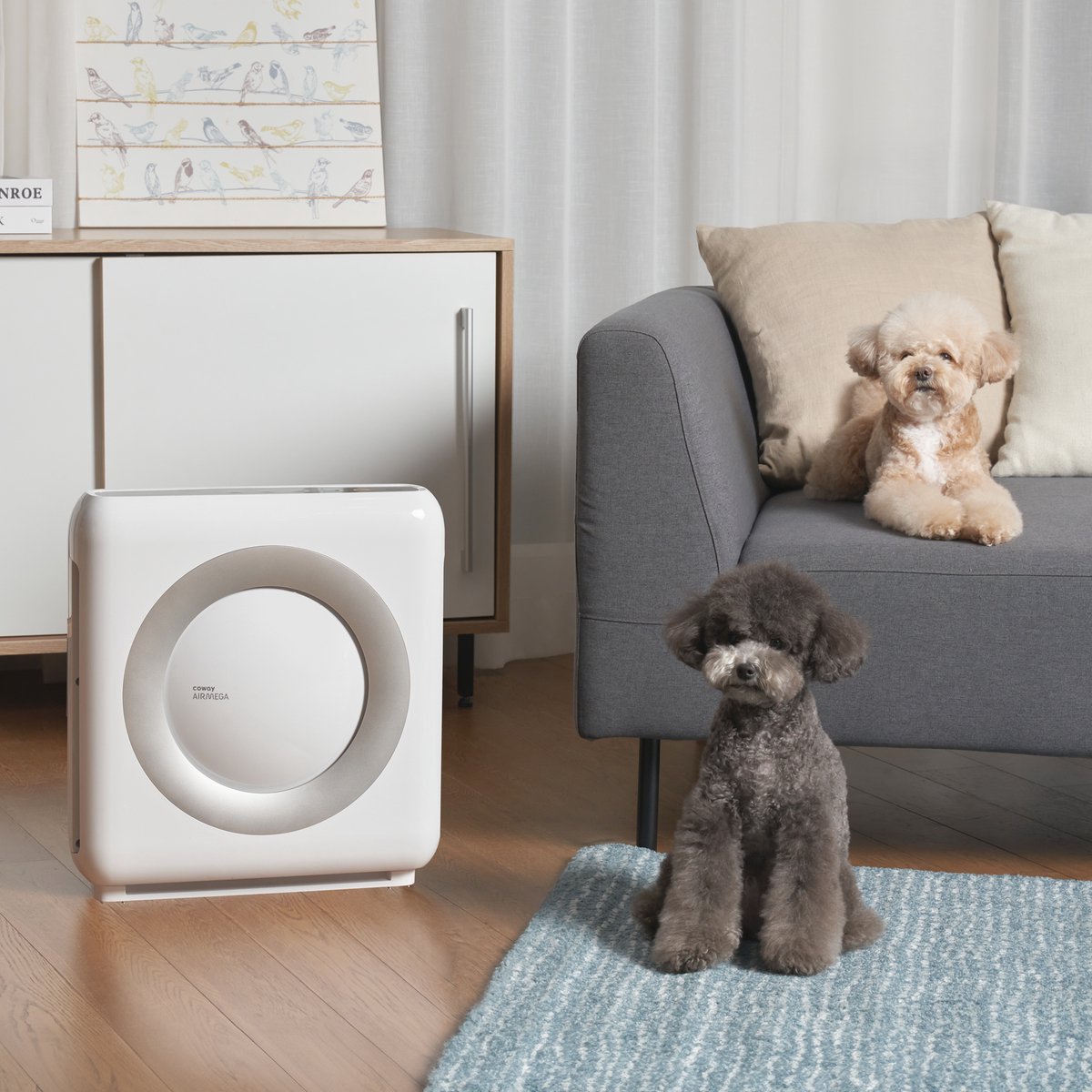Coway MIGHTY AP-1512HH Luchtreiniger – HEPA 13 + Koolstoffilter – CADR 421 m³/u – Voor ruimtes tot 109 m² – Slaapstand – Luchtkwaliteit Indicator – Tegen Hooikoorts, Allergie, Huisstofmijt, Stof & Pollen – Air Purifier - Wit — afbeelding 7