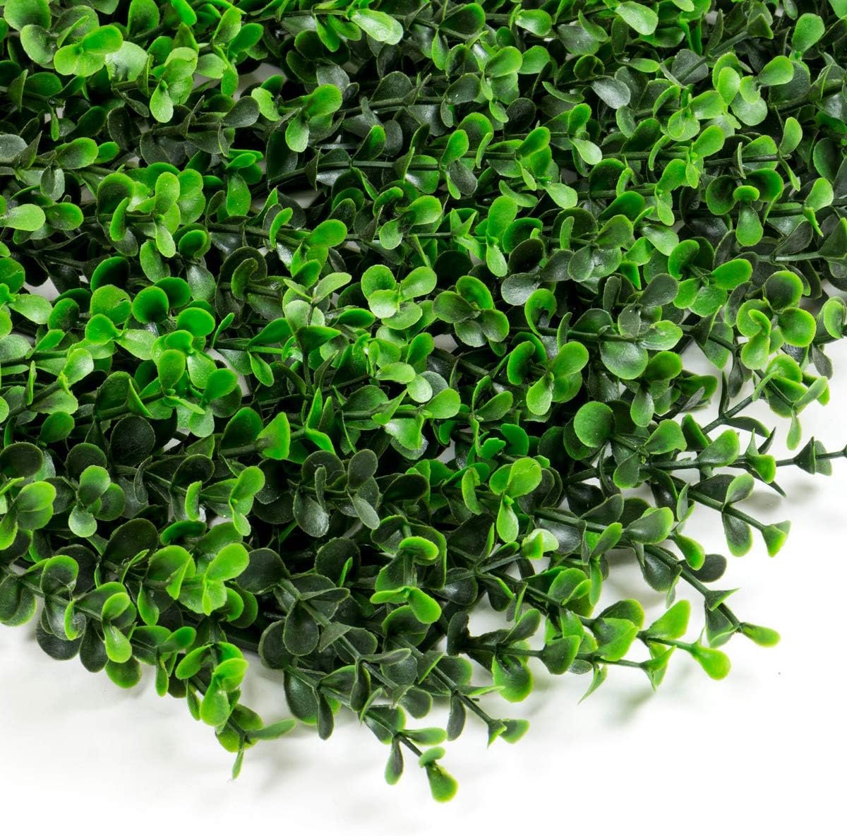 Kunstmatige Buxus Heg 50 x 100 cm voor Binnen en Buiten