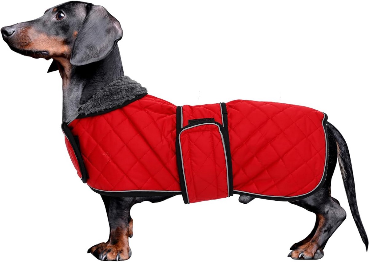 Teckel Winterjas - Warme Hondenjas met Fleece Voering - Bescherming tegen Kou en Regen - Verstelbare Bandjes - Beschikbaar in Verschillende Maten
