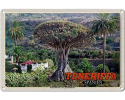 Blechschild Reise 30x20cm Teneriffa Drago Milenario-Tausendjährige