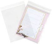 Sacs en plastique 22,9x30,5 cm transparents et refermables (100 pièces)