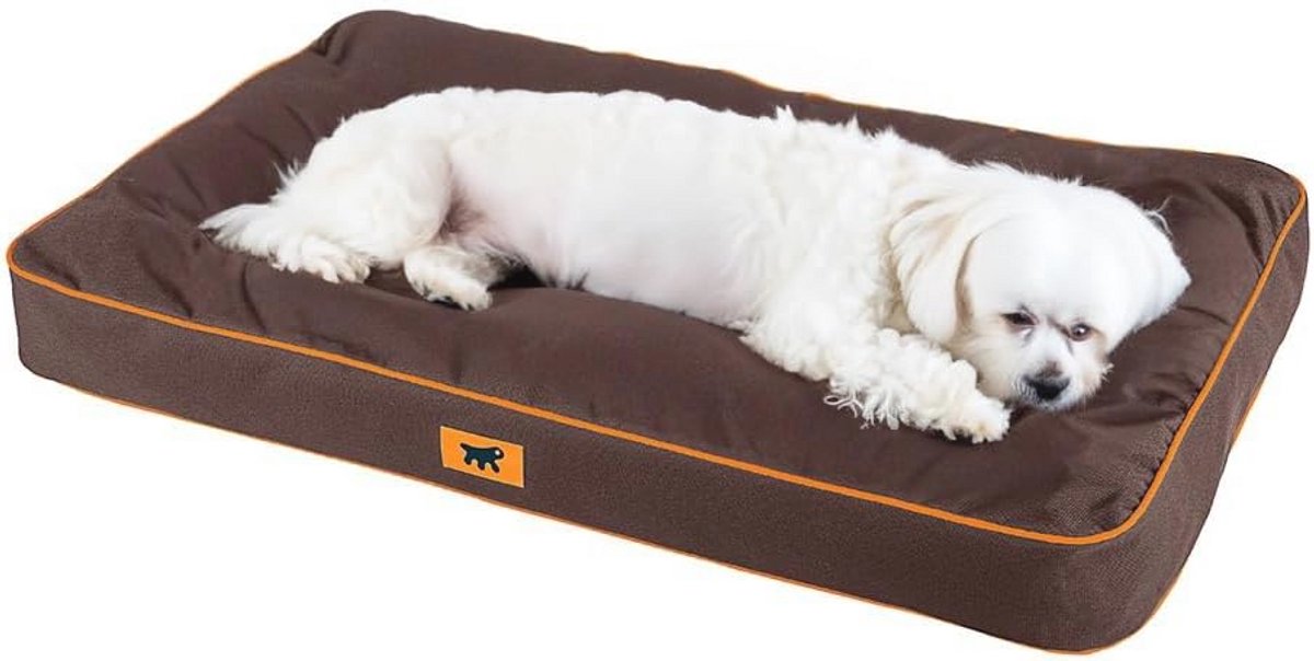Orthopedisch Hondenbed voor Kleine Honden - Waterdichte Hondenmand met Afneembare en Wasbare Hoes - Ergonomische Hondensofa 65 x 40 x 8 cm
