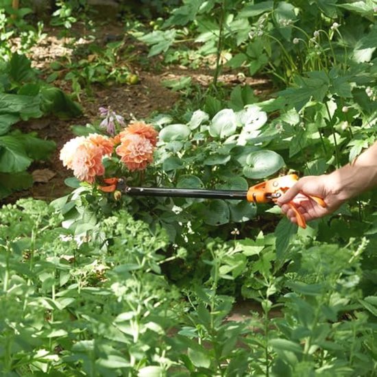 Tuinschaar met lange steel en draaibare handgreep voor snoeien van hoge bomen en struiken van Tuinschaar — afbeelding 3