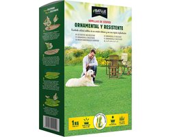 Robuust Siergras Zaad Mengsel 1 kg - Fijn Blad en Dichte Groei