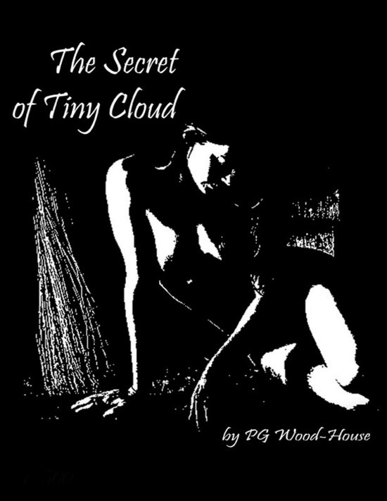 The Secret of Tiny Cloud - cover
