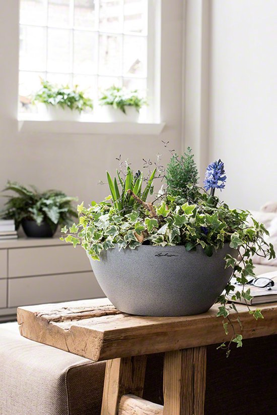 LECHUZA CUBETO Stone 40 - Plantenbak - met uitneembare binnenbak - met bewateringssysteem - ALL-IN-ONE set met LECHUZA-PON - steengrijs