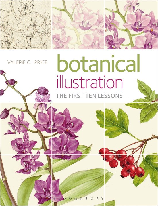 Botanical Illustration - cover