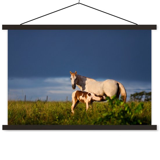 Cheval avec poulain dans l'herbe poster textielposter lattes noir 150x100 cm