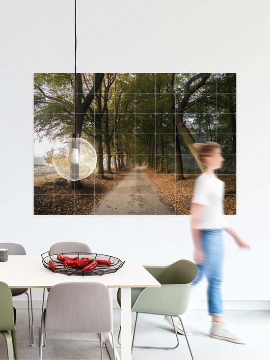 IXXI Autumn Forest Lane, Claire Droppert - 80 x 60 cm - Support d'accrochage gratuit - Grande décoration murale et posters - Réalisme, Photographie, Naturalisme