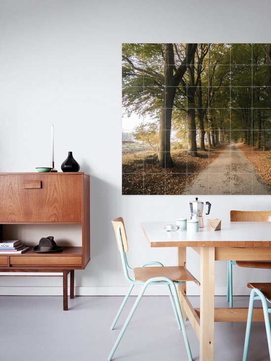 IXXI Autumn Forest Lane, Claire Droppert - 80 x 60 cm - Support d'accrochage gratuit - Grande décoration murale et posters - Réalisme, Photographie, Naturalisme