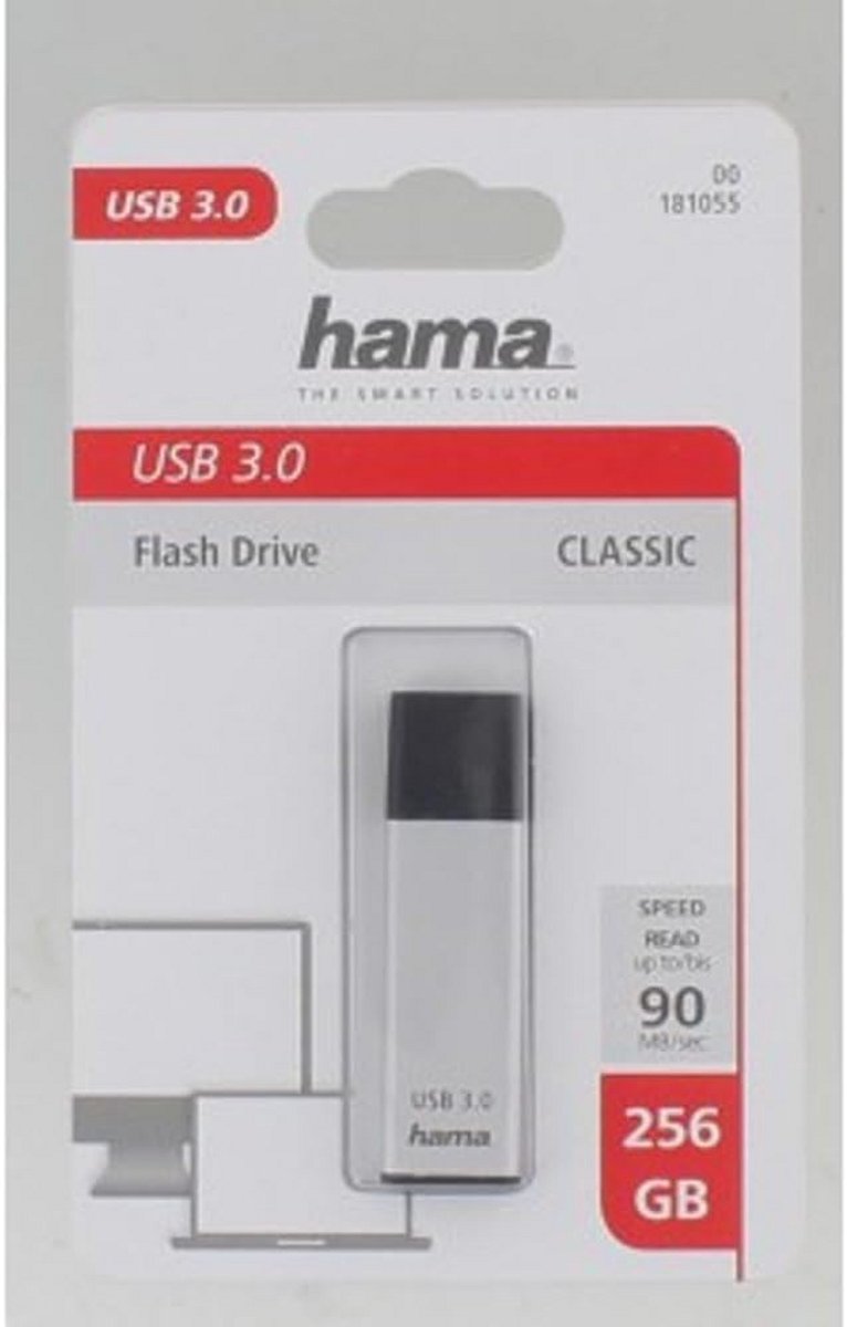 256 GB USB 3.0 Stick - Snelle Geheugenstick met Sleutelringbevestiging - Zilver
