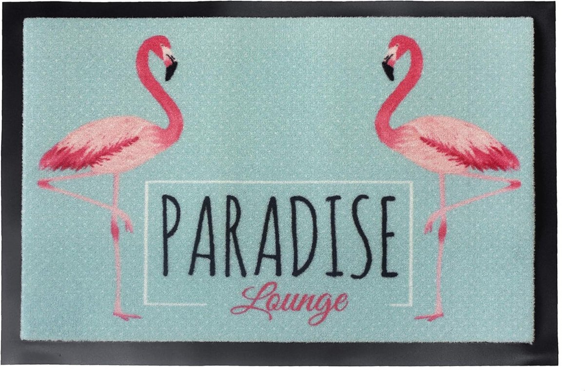 Schoonloopmat Antislip 40x60 cm – Flamingo Dessin – Afwasbaar en Geschikt voor Vloerverwar