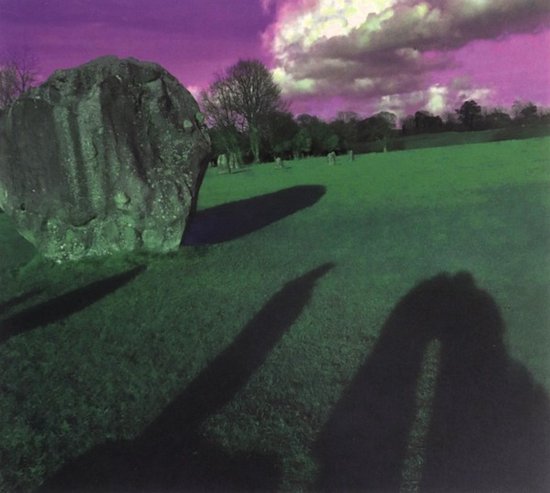 The Legendary Pink Dots: Came Out From The Shadows Vol. 5 [CD]