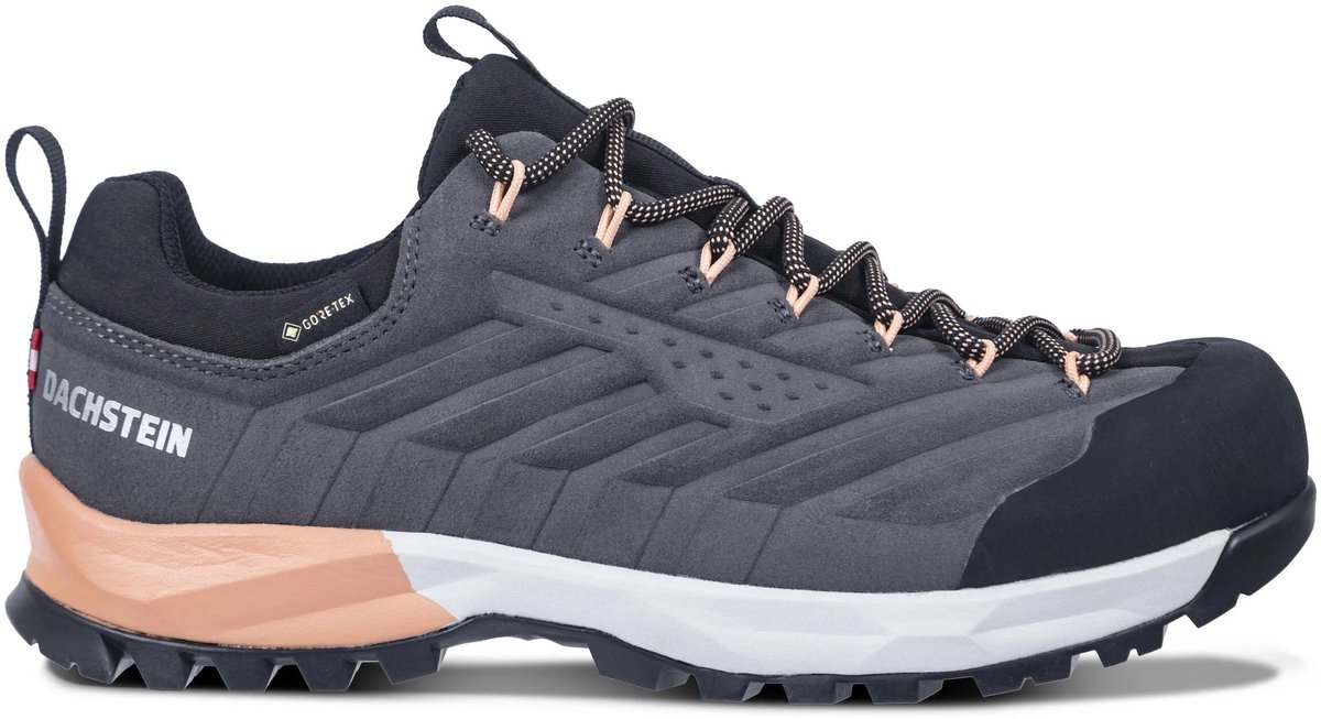 Vrouwelijke wandelschoenen Dachstein Sf-21 Gtx Grijs