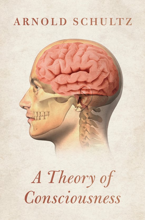 A Theory of Consciousness - cover