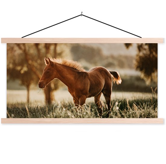 Porte-affiche avec affiche - Affiche scolaire - Cheval - Lumière - Prairie - 150x75 cm - lattes vierges
