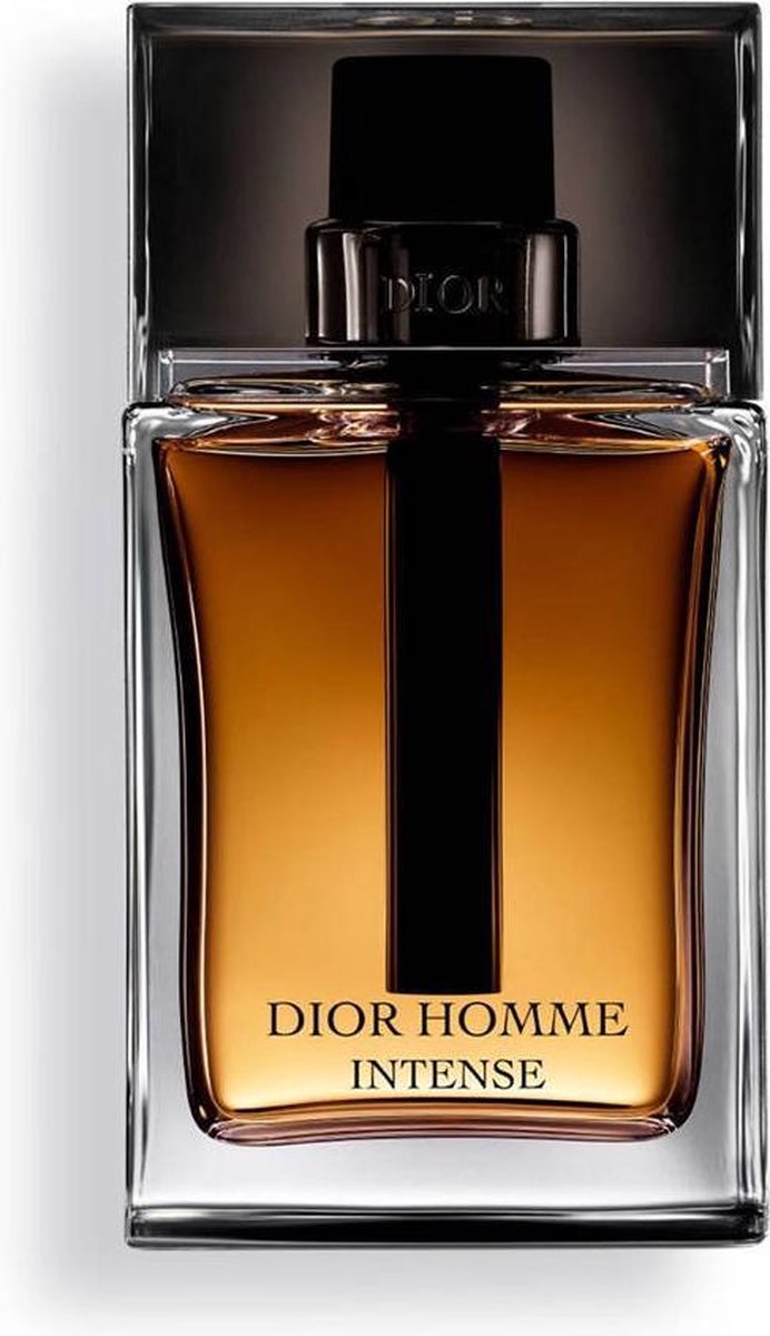 Dior Intense 100ML Eau de Parfum - Herenparfum | bol