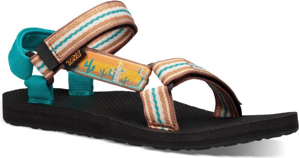 teva cactus