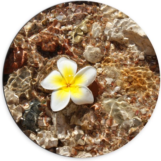 Dibond Wandcirkel - Wit met Gele Bloem in het Water - 70x70cm Foto op Aluminium Wandcirkel (met ophangsysteem)