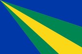 Vlag gemeente Zeewolde 200x300 cm