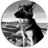 Dibond Wandcirkel - Hond op Strand (Zwart/wit) - 40x40cm Foto op Aluminium Wandcirkel (met ophangsysteem)