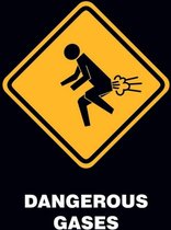 Pyramid Dangerous Gases  Poster - 40x50cm