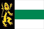 Vlag gemeente Druten 100x150 cm