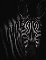 Schilderij zebra zwart 80 x 120 - Pixello - Canvas - Schilderijen op canvas - Unieke canvaskunst designs