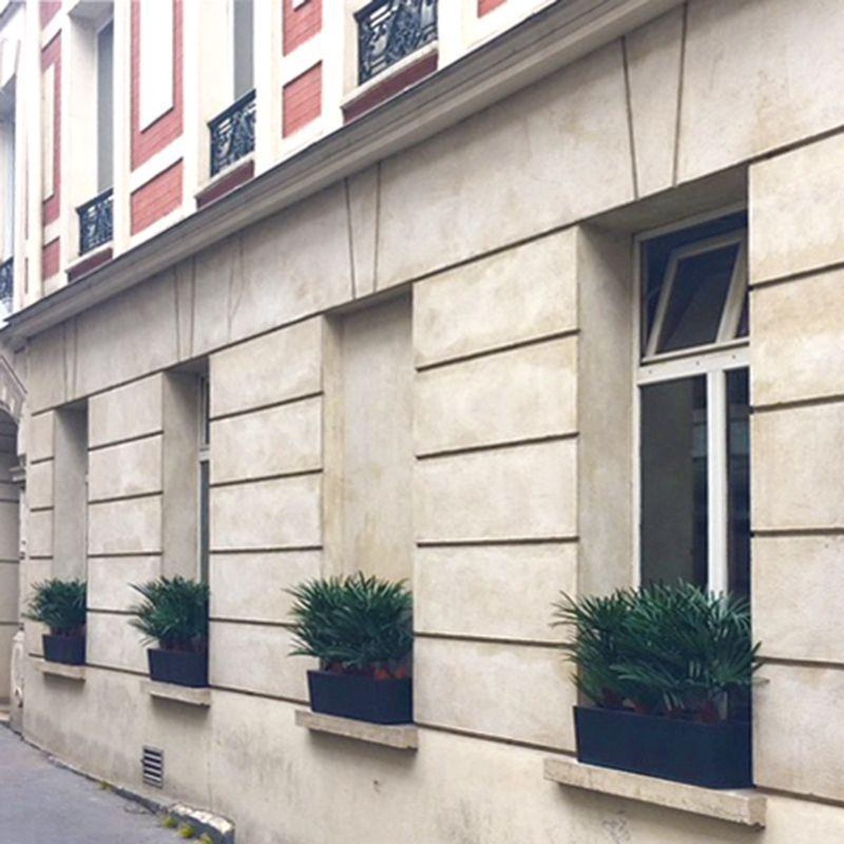 maxifleur Kunstplanten Raphis kunstplant 60cm - UV bestendig Groen