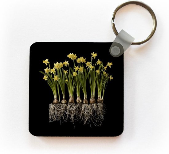 Porte-clés Plantes sur fond noir - Plusieurs jonquilles avec ampoules sur fond noir Porte-clés en plastique - Porte-clés carré avec photo